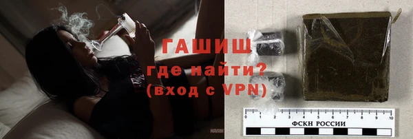стаф Тутаев