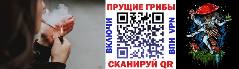 Купить закладки  Нариманов  Псилоцибиновые грибы Magic Shrooms 
